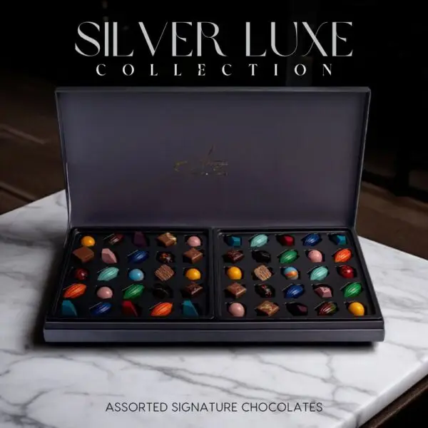 Discover the AARAYA® Assorted Chocolates Box - Silver Luxe Collection, a luxurious selection of handcrafted chocolates in an elegant silver satin box. Perfect for gifting or indulging in premium chocolate bliss.