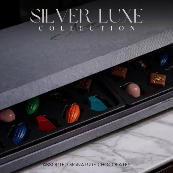 Discover the AARAYA® Assorted Chocolates Box - Silver Luxe Collection, a luxurious selection of handcrafted chocolates in an elegant silver satin box. Perfect for gifting or indulging in premium chocolate bliss.